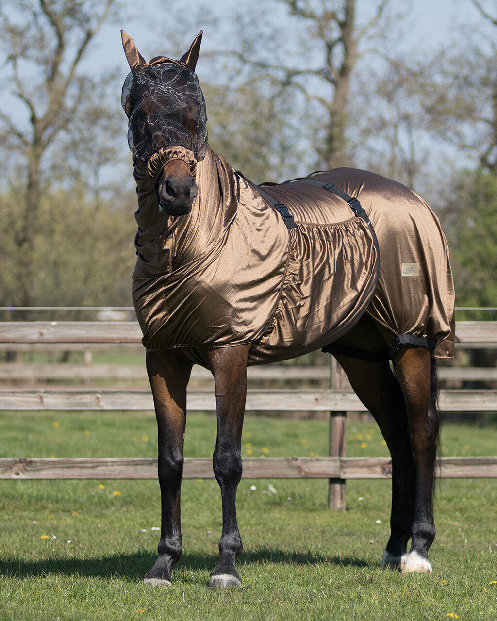 Ekzemteppich