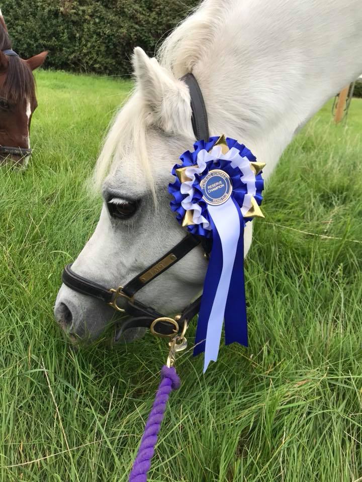 Benefits of Learning to Horse Ride Early