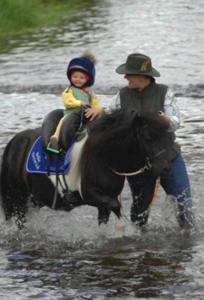 The Adventures of Inky Dinky Saddles