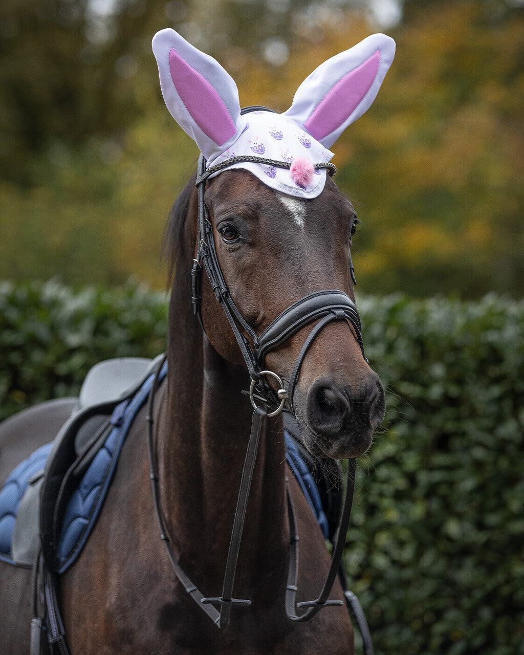 Øre-net - Bunny